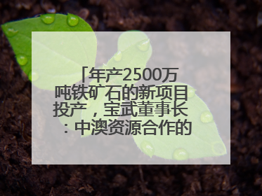 年产2500万吨铁矿石的新项目投产，宝武董事长：中澳资源合作的里程碑