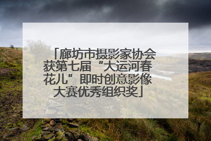 廊坊市摄影家协会获第七届“大运河春花儿”即时创意影像大赛优秀组织奖