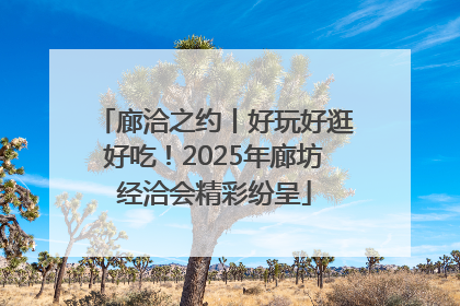 廊洽之约丨好玩好逛好吃！2025年廊坊经洽会精彩纷呈