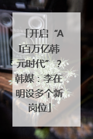 开启“AI百万亿韩元时代”？韩媒：李在明设多个新岗位