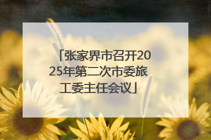 张家界市召开2025年第二次市委旅工委主任会议