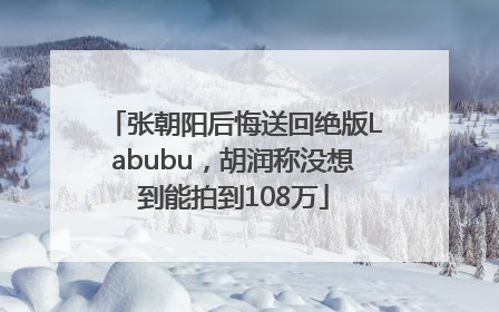 张朝阳后悔送回绝版Labubu，胡润称没想到能拍到108万