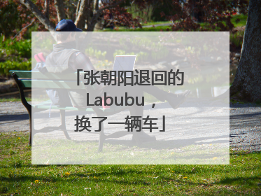 张朝阳退回的Labubu，换了一辆车