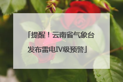 提醒！云南省气象台发布雷电Ⅳ级预警