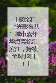 探徐汇｜“光影夜巷”城市嘉年华点亮徐汇滨江，持续至6月2日！