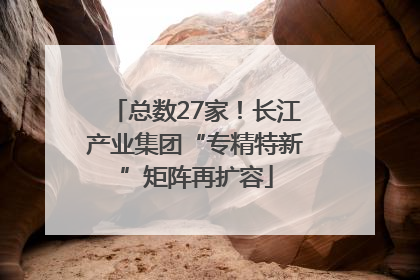 总数27家！长江产业集团“专精特新”矩阵再扩容