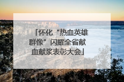 怀化“热血英雄群像”闪耀全省献血献浆表彰大会