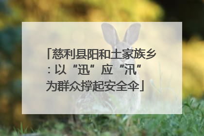 慈利县阳和土家族乡：以“迅”应“汛” 为群众撑起安全伞