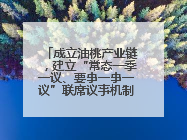 成立油桃产业链，建立“常态一季一议、要事一事一议”联席议事机制，山东省日照市莒县果庄镇——13个党小组“全周期”育果