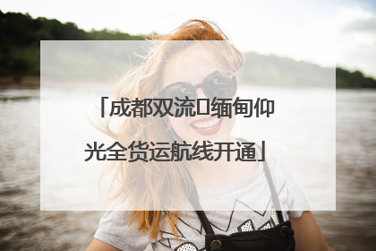 成都双流⇌缅甸仰光全货运航线开通