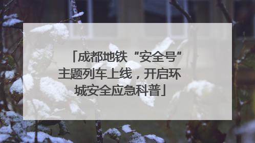 成都地铁“安全号”主题列车上线，开启环城安全应急科普