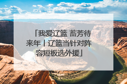 我爱辽篮 蓄芳待来年丨辽篮当针对阵容短板选外援
