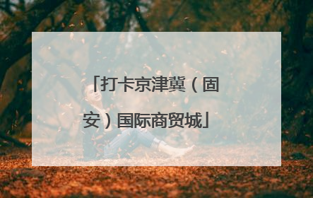打卡京津冀（固安）国际商贸城
