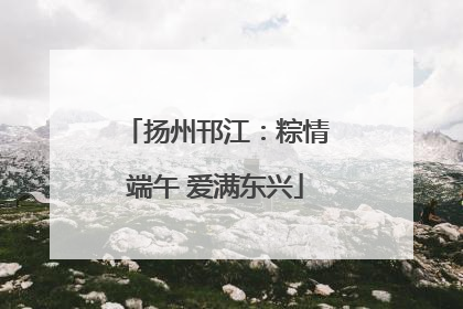 扬州邗江：粽情端午 爱满东兴