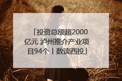 投资总额超2000亿元 泸州推介产业项目94个丨数读西投