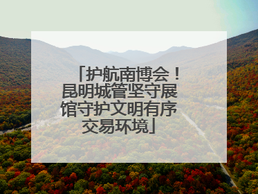 护航南博会！昆明城管坚守展馆守护文明有序交易环境