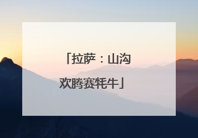 拉萨：山沟欢腾赛牦牛