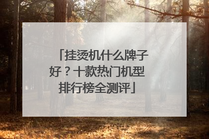 挂烫机什么牌子好？十款热门机型排行榜全测评
