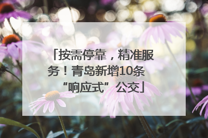 按需停靠，精准服务！青岛新增10条“响应式”公交