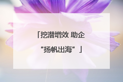 挖潜增效 助企“扬帆出海”