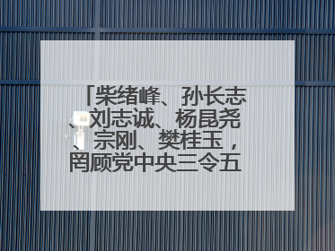 柴绪峰、孙长志、刘志诚、杨昆尧、宗刚、樊桂玉，罔顾党中央三令五申，不知敬畏、我行我素、肆意妄为！