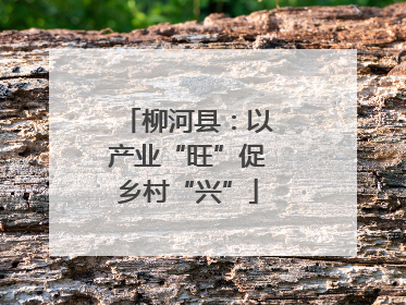 柳河县：以产业“旺”促乡村“兴”