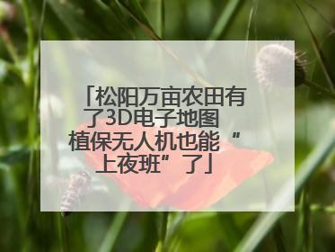 松阳万亩农田有了3D电子地图 植保无人机也能“上夜班”了