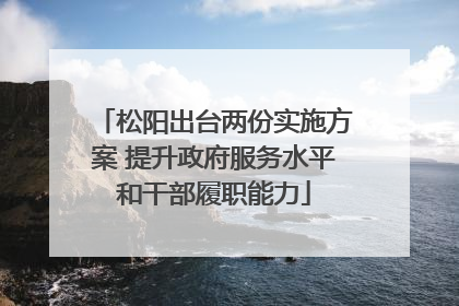 松阳出台两份实施方案 提升政府服务水平和干部履职能力
