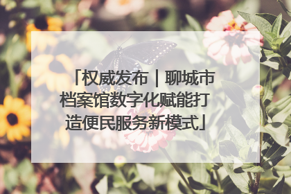 权威发布｜聊城市档案馆数字化赋能打造便民服务新模式