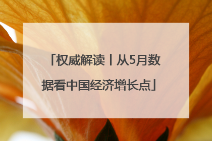 权威解读丨从5月数据看中国经济增长点
