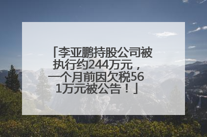 李亚鹏持股公司被执行约244万元，一个月前因欠税561万元被公告！