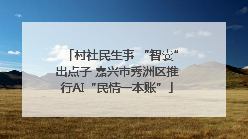 村社民生事 “智囊”出点子 嘉兴市秀洲区推行AI“民情一本账”