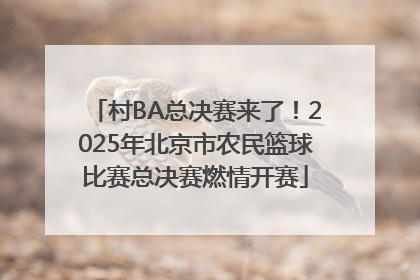 村BA总决赛来了！2025年北京市农民篮球比赛总决赛燃情开赛