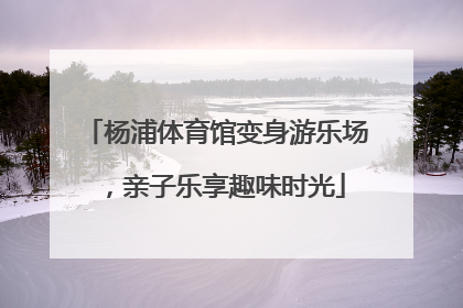 杨浦体育馆变身游乐场，亲子乐享趣味时光