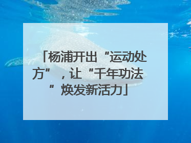 杨浦开出“运动处方”，让“千年功法”焕发新活力