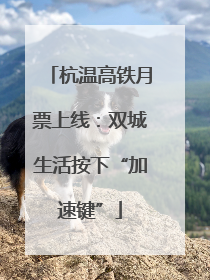 杭温高铁月票上线：双城生活按下“加速键”