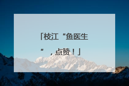 枝江“鱼医生”，点赞！