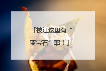 枝江这里有“蓝宝石”耶！