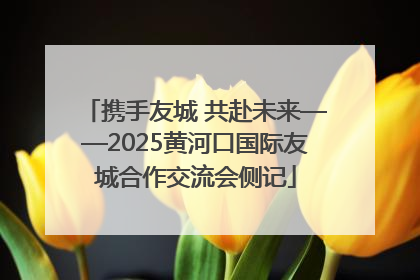 携手友城 共赴未来——2025黄河口国际友城合作交流会侧记