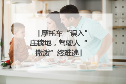 摩托车“误入”庄稼地，驾驶人“撒泼”终难逃