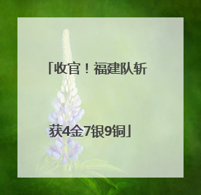 收官！福建队斩获4金7银9铜