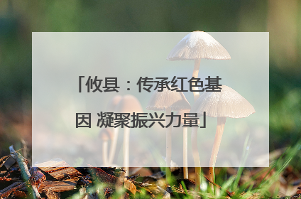 攸县：传承红色基因 凝聚振兴力量