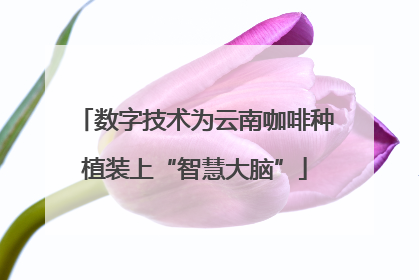 数字技术为云南咖啡种植装上“智慧大脑”