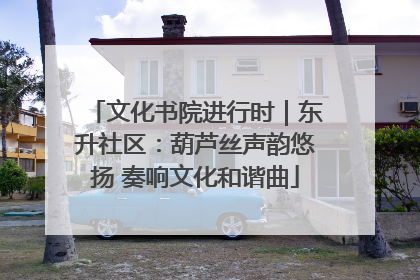 文化书院进行时｜东升社区：葫芦丝声韵悠扬 奏响文化和谐曲