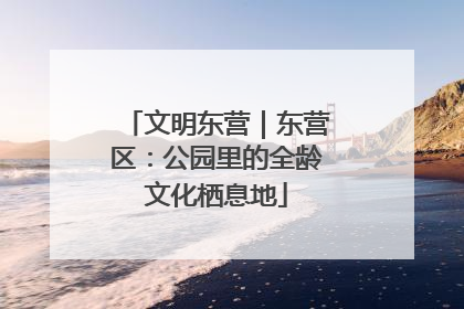 文明东营｜东营区：公园里的全龄文化栖息地
