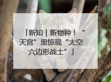 新知｜新物种！“天宫”里惊现“太空六边形战士”