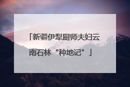 新疆伊犁厨师夫妇云南石林“种地记”
