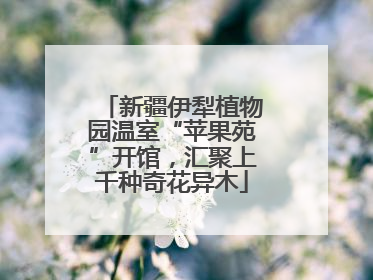 新疆伊犁植物园温室“苹果苑”开馆，汇聚上千种奇花异木