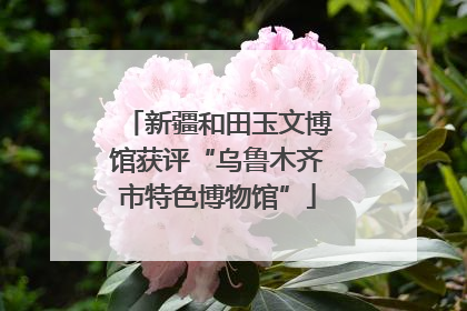 新疆和田玉文博馆获评“乌鲁木齐市特色博物馆”