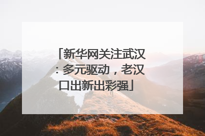 新华网关注武汉：多元驱动，老汉口出新出彩强